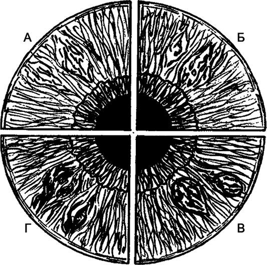 Иллюстрация к книге — Целебная натуротерапия [i_011.jpg]
