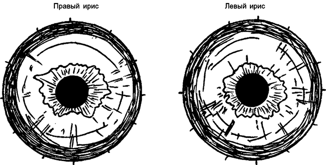 Иллюстрация к книге — Целебная натуротерапия [i_013.jpg]