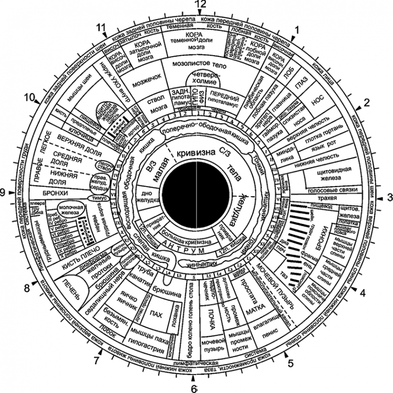 Иллюстрация к книге — Целебная натуротерапия [i_014.jpg]