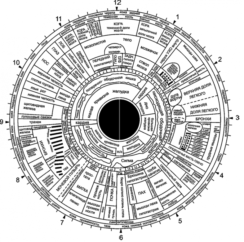Иллюстрация к книге — Целебная натуротерапия [i_015.jpg]