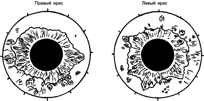 Иллюстрация к книге — Целебная натуротерапия [i_018.jpg]