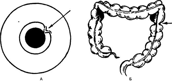 Иллюстрация к книге — Целебная натуротерапия [i_019.jpg]