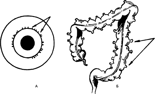Иллюстрация к книге — Целебная натуротерапия [i_020.jpg]