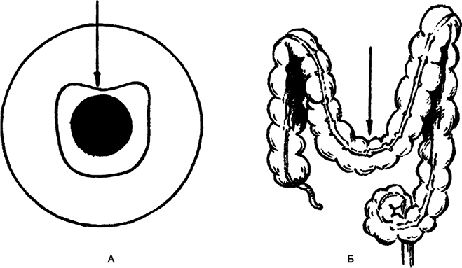 Иллюстрация к книге — Целебная натуротерапия [i_021.jpg]