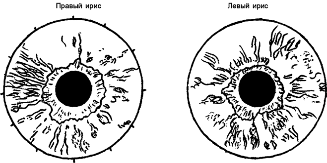 Иллюстрация к книге — Целебная натуротерапия [i_027.jpg]