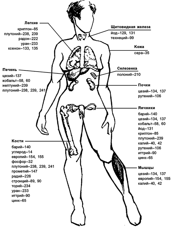 Иллюстрация к книге — Целебная натуротерапия [i_036.jpg]
