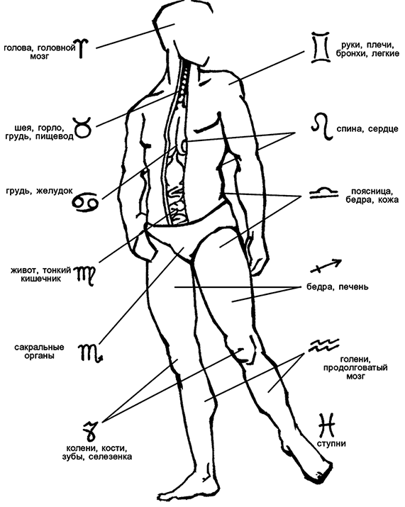 Иллюстрация к книге — Целебная натуротерапия [i_063.jpg]