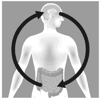 Иллюстрация к книге — Безграничье. Прокачай мозг, запоминай быстрее [i_011.jpg]