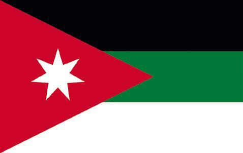 Иллюстрация к книге — Династии. Как устроена власть в современных арабских монархиях [i_012.jpg]