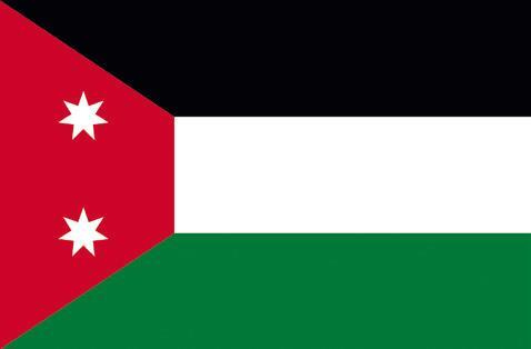 Иллюстрация к книге — Династии. Как устроена власть в современных арабских монархиях [i_013.jpg]