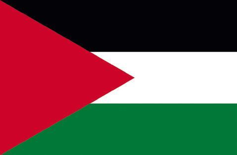 Иллюстрация к книге — Династии. Как устроена власть в современных арабских монархиях [i_016.jpg]