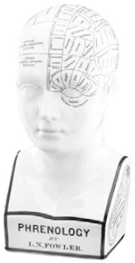 Иллюстрация к книге — Взламывая психиатрию [i_002.jpg]