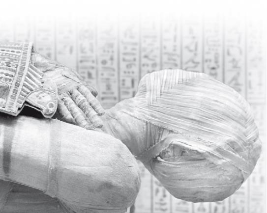 Иллюстрация к книге — Взламывая психиатрию [i_008.jpg]