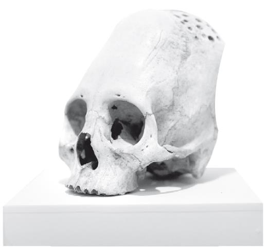 Иллюстрация к книге — Взламывая психиатрию [i_009.jpg]