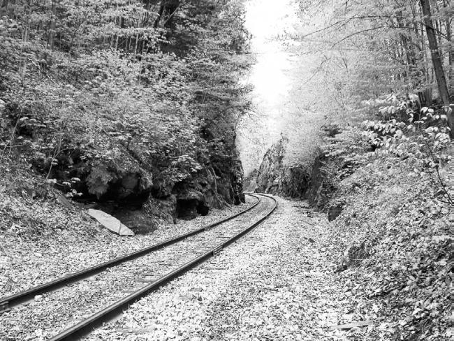 Иллюстрация к книге — Взламывая психиатрию [i_046.jpg]