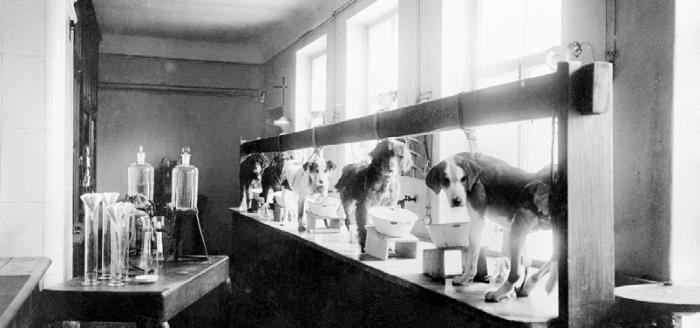 Иллюстрация к книге — Взламывая психиатрию [i_087.jpg]