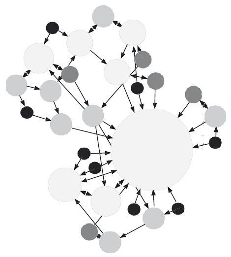 Иллюстрация к книге — Взламывая психиатрию [i_095.jpg]