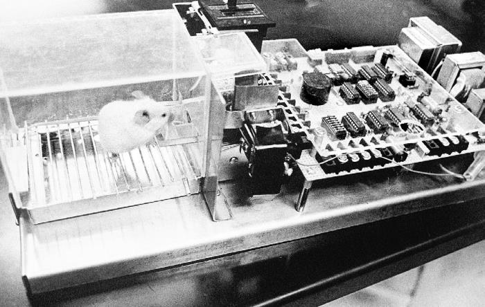 Иллюстрация к книге — Взламывая психиатрию [i_124.jpg]