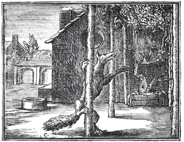 Иллюстрация к книге — Взламывая психиатрию [i_148.jpg]