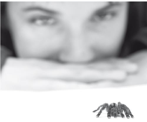 Иллюстрация к книге — Взламывая психиатрию [i_161.jpg]