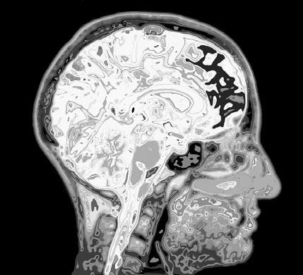 Иллюстрация к книге — Взламывая психиатрию [i_179.jpg]