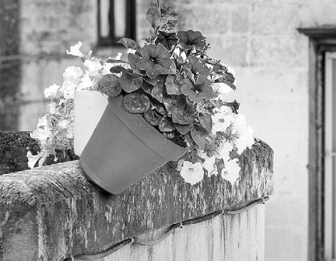 Иллюстрация к книге — Взламывая психиатрию [i_205.jpg]