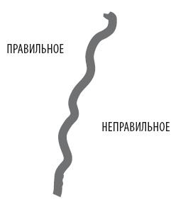 Иллюстрация к книге — Взламывая психиатрию [i_207.jpg]