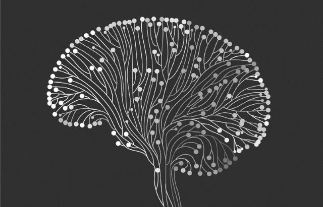 Иллюстрация к книге — Взламывая психиатрию [i_209.jpg]