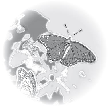 Иллюстрация к книге — Взламывая психиатрию [i_211.jpg]