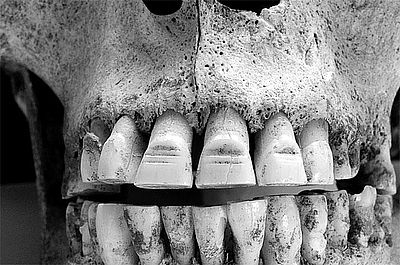 Иллюстрация к книге — История викингов. Дети Ясеня и Вяза [i_009.jpg]