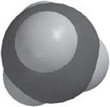 Иллюстрация к книге — Секрет аромата. От молекулы до духов. Как запах становится произведением искусства [i_003.jpg]