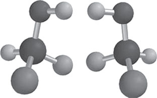 Иллюстрация к книге — Секрет аромата. От молекулы до духов. Как запах становится произведением искусства [i_044.jpg]