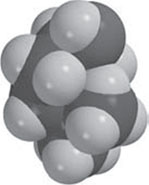 Иллюстрация к книге — Секрет аромата. От молекулы до духов. Как запах становится произведением искусства [i_052.jpg]