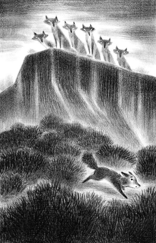 Иллюстрация к книге — Страшные истории для маленьких лисят [i_003.jpg]