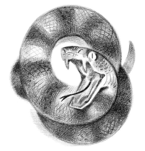 Иллюстрация к книге — Страшные истории для маленьких лисят [i_004.jpg]