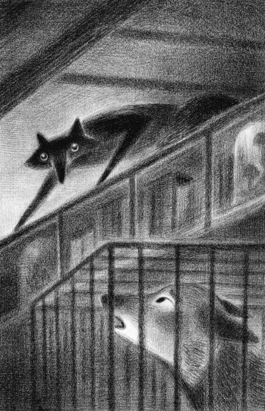 Иллюстрация к книге — Страшные истории для маленьких лисят [i_006.jpg]