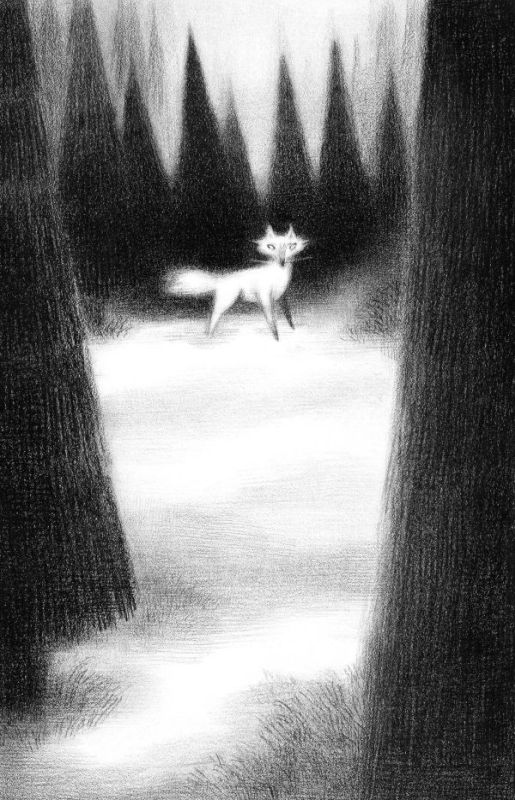 Иллюстрация к книге — Страшные истории для маленьких лисят [i_015.jpg]