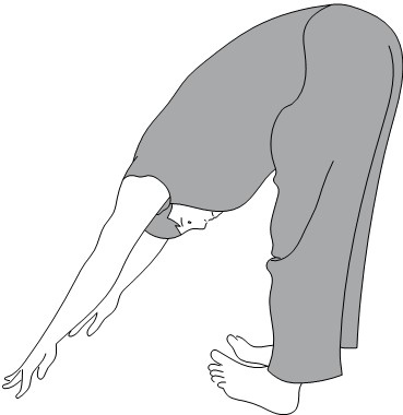 Иллюстрация к книге — Активное долголетие. Упражнения для крепкого здоровья, бодрости, иммунитета [i_003.jpg]