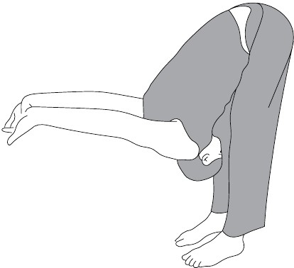 Иллюстрация к книге — Активное долголетие. Упражнения для крепкого здоровья, бодрости, иммунитета [i_005.jpg]