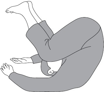 Иллюстрация к книге — Активное долголетие. Упражнения для крепкого здоровья, бодрости, иммунитета [i_010.jpg]