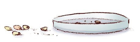 Иллюстрация к книге — Ошибка Угрюма [i_005.jpg]