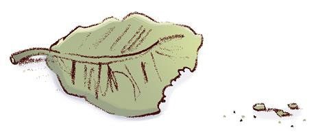 Иллюстрация к книге — Ошибка Угрюма [i_017.jpg]