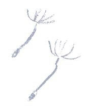 Иллюстрация к книге — Ошибка Угрюма [i_047.jpg]