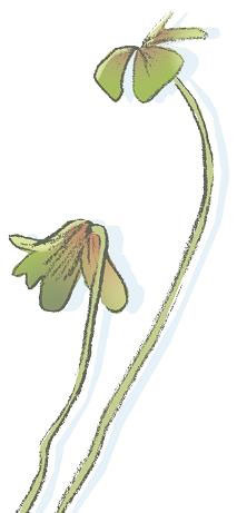 Иллюстрация к книге — Ошибка Угрюма [i_057.jpg]