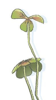 Иллюстрация к книге — Ошибка Угрюма [i_064.jpg]