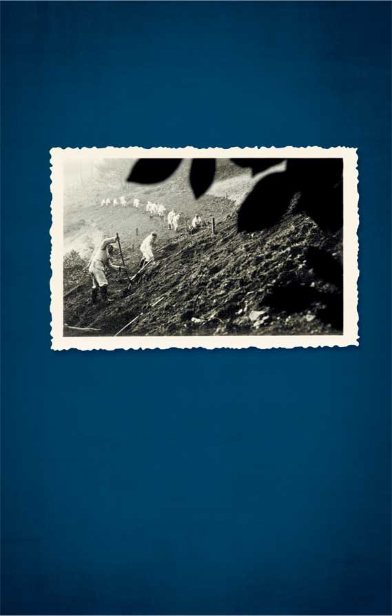 Иллюстрация к книге — Казни Дьявольского Акра [i_033.jpg]