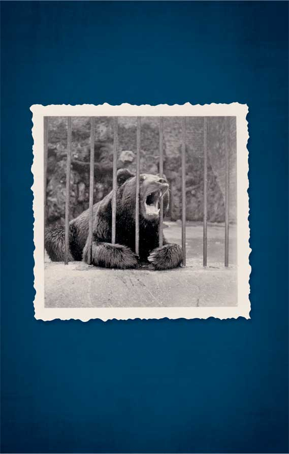 Иллюстрация к книге — Казни Дьявольского Акра [i_039.jpg]