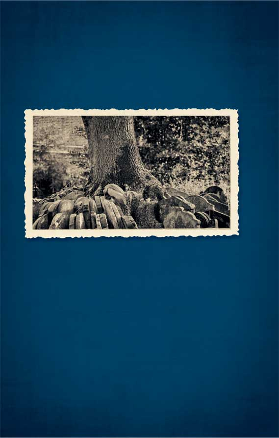 Иллюстрация к книге — Казни Дьявольского Акра [i_051.jpg]