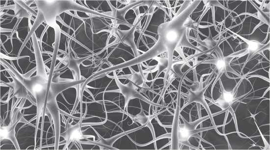 Иллюстрация к книге — Обмани свой мозг. Обсессивно-компульсивное расстройство [i_003.jpg]