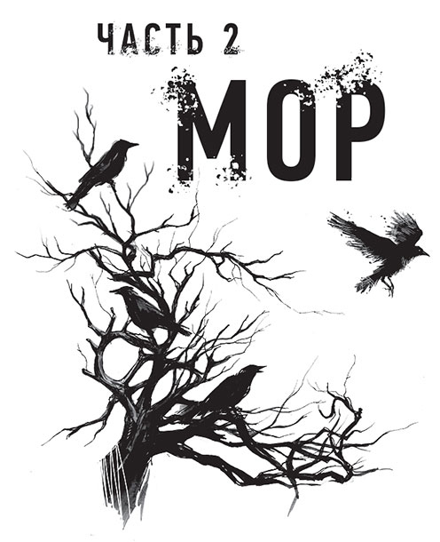 Иллюстрация к книге — Год ведьмовства [i_002.jpg]